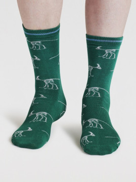 chaussettes vertes motifs squelette de dinosaures