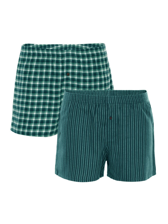 2 caleçons verts et blancs