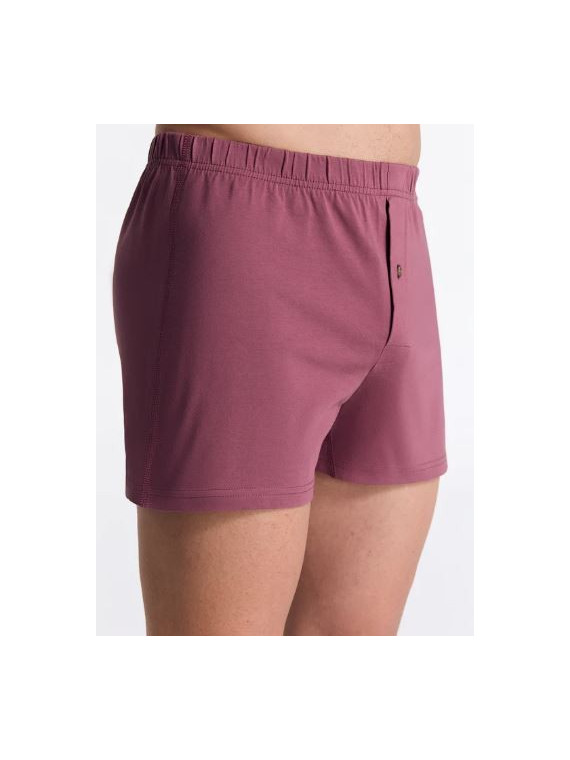 Caleçon coton bio Leela Cotton / Albero Sous-vêtement homme forme c...