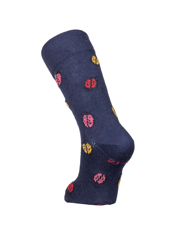 Chaussettes Françaises "Influence Nordique" en coton bio Coccinelle...