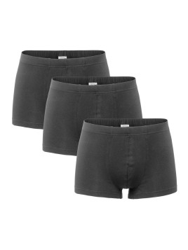 Lot de 3 Boxers pour Homme en Coton Bio - Livingcrafts