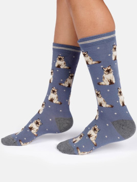 Chaussettes pour Femme en Viscose de Bambou - Thought