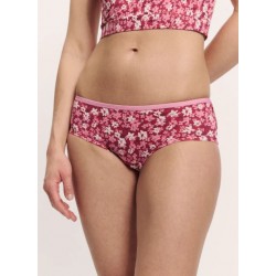 Panty Femme en Coton bio...
