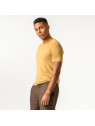 Tee-Shirt pour Homme en 100% Coton Bio divers Coloris Livingcrafts