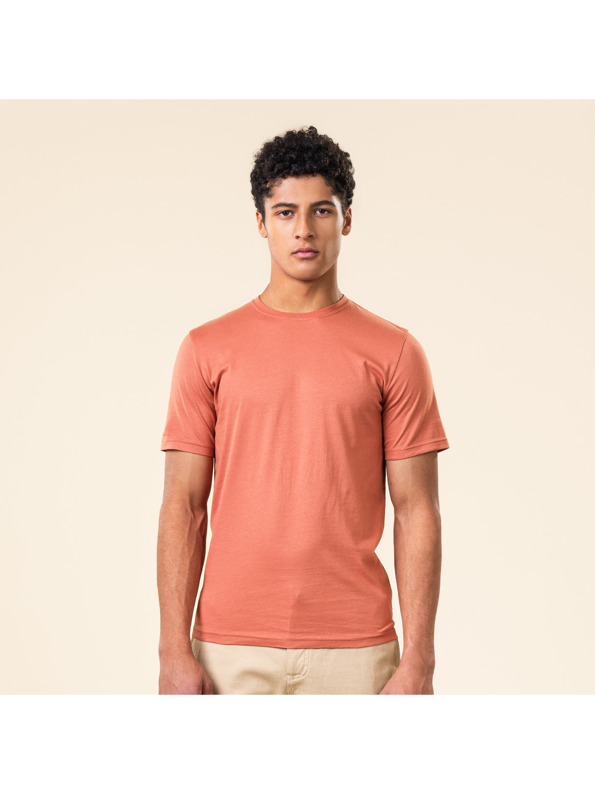 Tee-Shirt pour Homme en 100% Coton Bio divers Coloris Livingcrafts